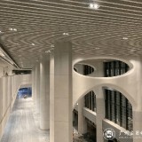 玻璃鋼造型裝飾廣應科肇慶校區圖書館立柱