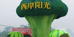江陽農業示范區西蘭花大型玻璃鋼雕塑