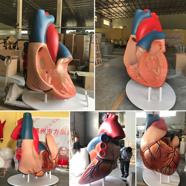 玻璃鋼心臟模型雕塑山東醫學人體仿真科教模型