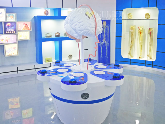 玻璃鋼醫學模型互動裝置促進科普大健康產品發展